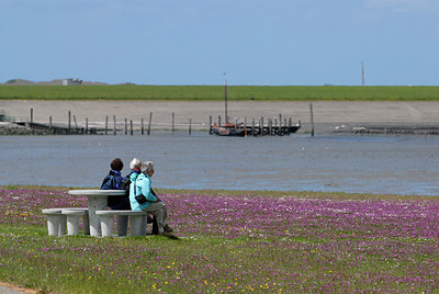 BUITEN BEELD Foto: 44204