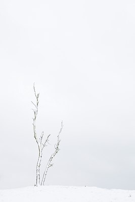 BUITEN BEELD Foto: 44212