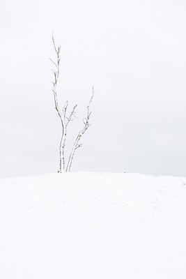 BUITEN BEELD Foto: 44213