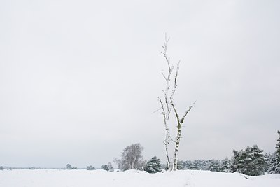 BUITEN BEELD Foto: 44214