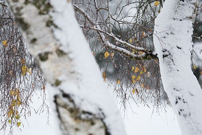 BUITEN BEELD Foto: 44216