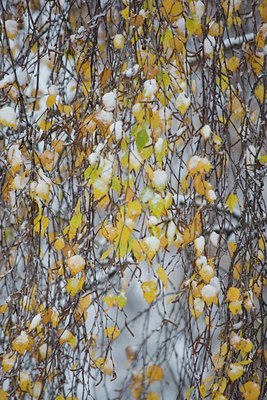 BUITEN BEELD Foto: 44217