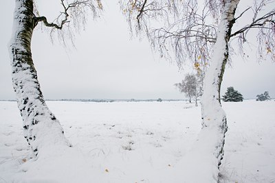 BUITEN BEELD Foto: 44218
