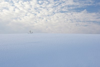 BUITEN BEELD Foto: 44229