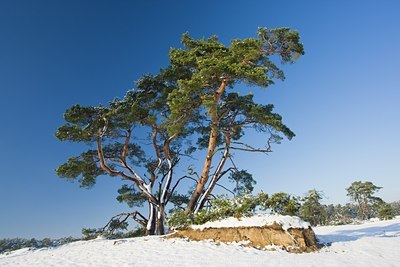 BUITEN BEELD Foto: 44235