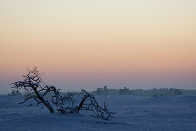 BUITEN BEELD Foto: 44247