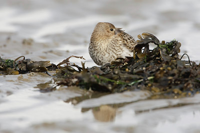 BUITEN BEELD Foto: 44260