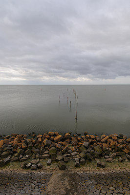 BUITEN BEELD Foto: 44303