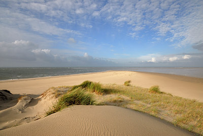 BUITEN BEELD Foto: 44343