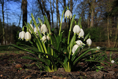 BUITEN BEELD Foto: 44367