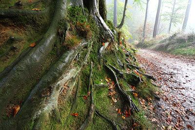 BUITEN BEELD Foto: 44423