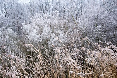 BUITEN BEELD Foto: 44427