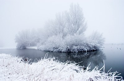 BUITEN BEELD Foto: 44435