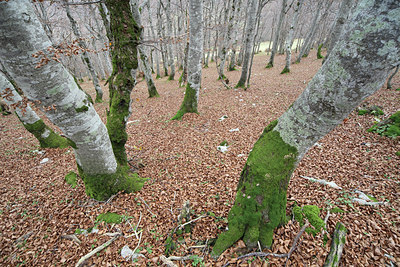 BUITEN BEELD Foto: 44438