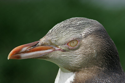 BUITEN BEELD Foto: 44443