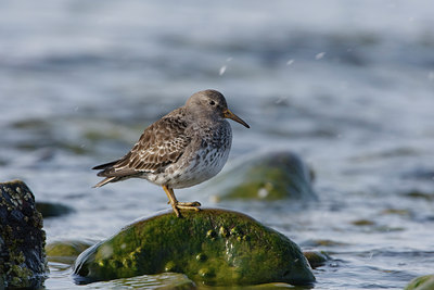 BUITEN BEELD Foto: 44458