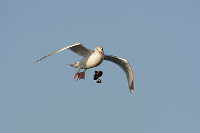 BUITEN BEELD Foto: 44468