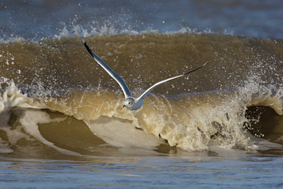 BUITEN BEELD Foto: 44488