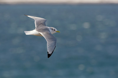BUITEN BEELD Foto: 44519