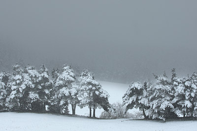 BUITEN BEELD Foto: 44589