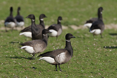BUITEN BEELD Foto: 44621