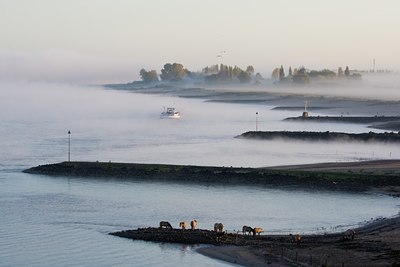 BUITEN BEELD Foto: 44651