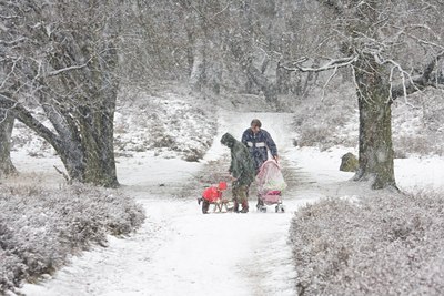 BUITEN BEELD Foto: 44656