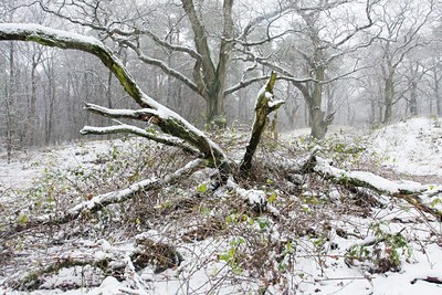 BUITEN BEELD Foto: 44660