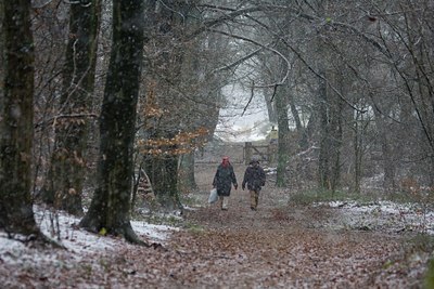 BUITEN BEELD Foto: 44662