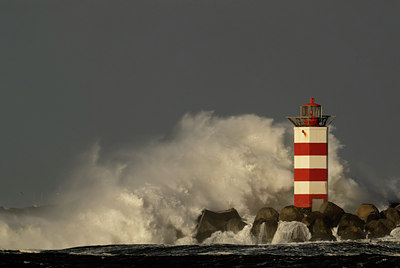 BUITEN BEELD Foto: 44668
