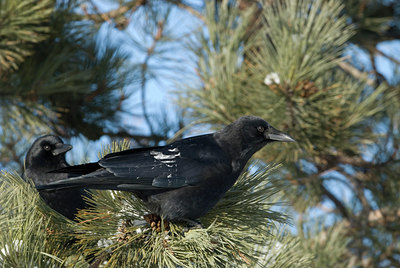 BUITEN BEELD Foto: 44683