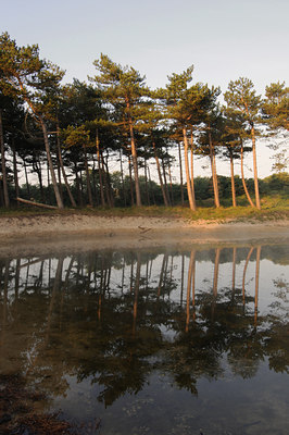 BUITEN BEELD Foto: 44722