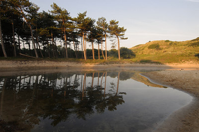 BUITEN BEELD Foto: 44724