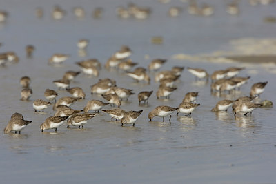 BUITEN BEELD Foto: 44739