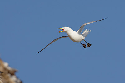 BUITEN BEELD Foto: 44741