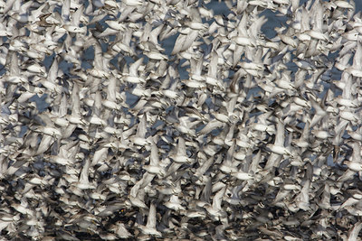 BUITEN BEELD Foto: 44777