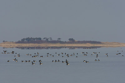BUITEN BEELD Foto: 44788