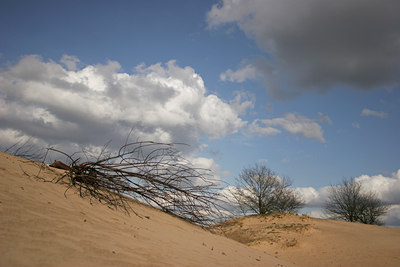 BUITEN BEELD Foto: 44826