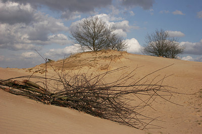 BUITEN BEELD Foto: 44827