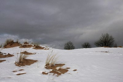 BUITEN BEELD Foto: 44835