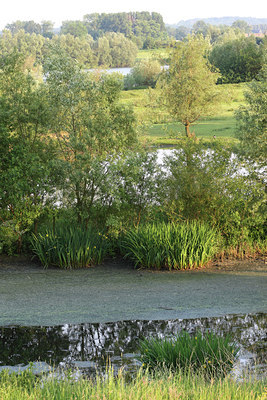 BUITEN BEELD Foto: 44858