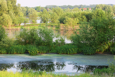 BUITEN BEELD Foto: 44867