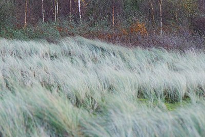 BUITEN BEELD Foto: 44887
