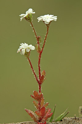 BUITEN BEELD Foto: 44890