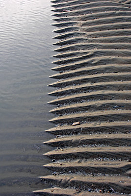 BUITEN BEELD Foto: 44969