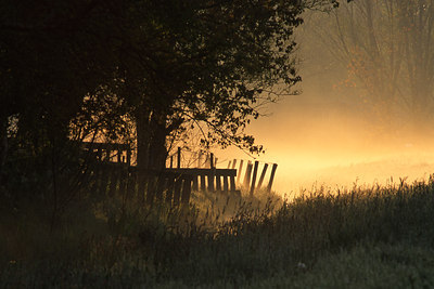 BUITEN BEELD Foto: 44990