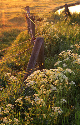 BUITEN BEELD Foto: 44991