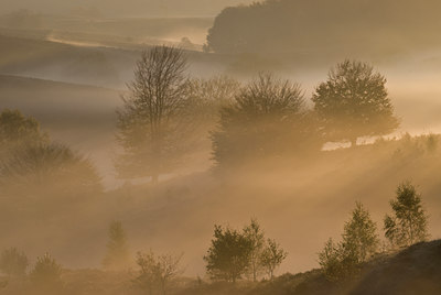 BUITEN BEELD Foto: 44999