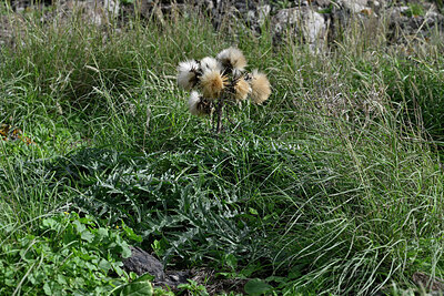 BUITEN BEELD Foto: 449004