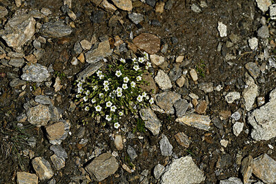 BUITEN BEELD Foto: 449005
